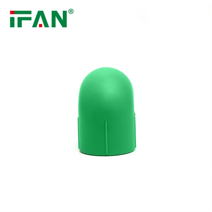 IFAN PPR Green Tail Elbow