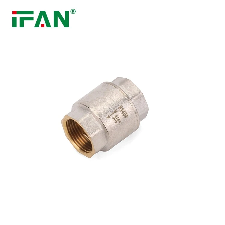 81409 Brass Check Valve